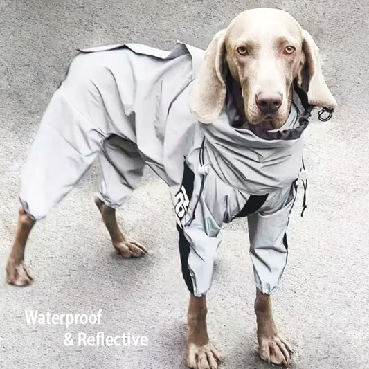 Hi-Reflective Safety Dog Raincoat