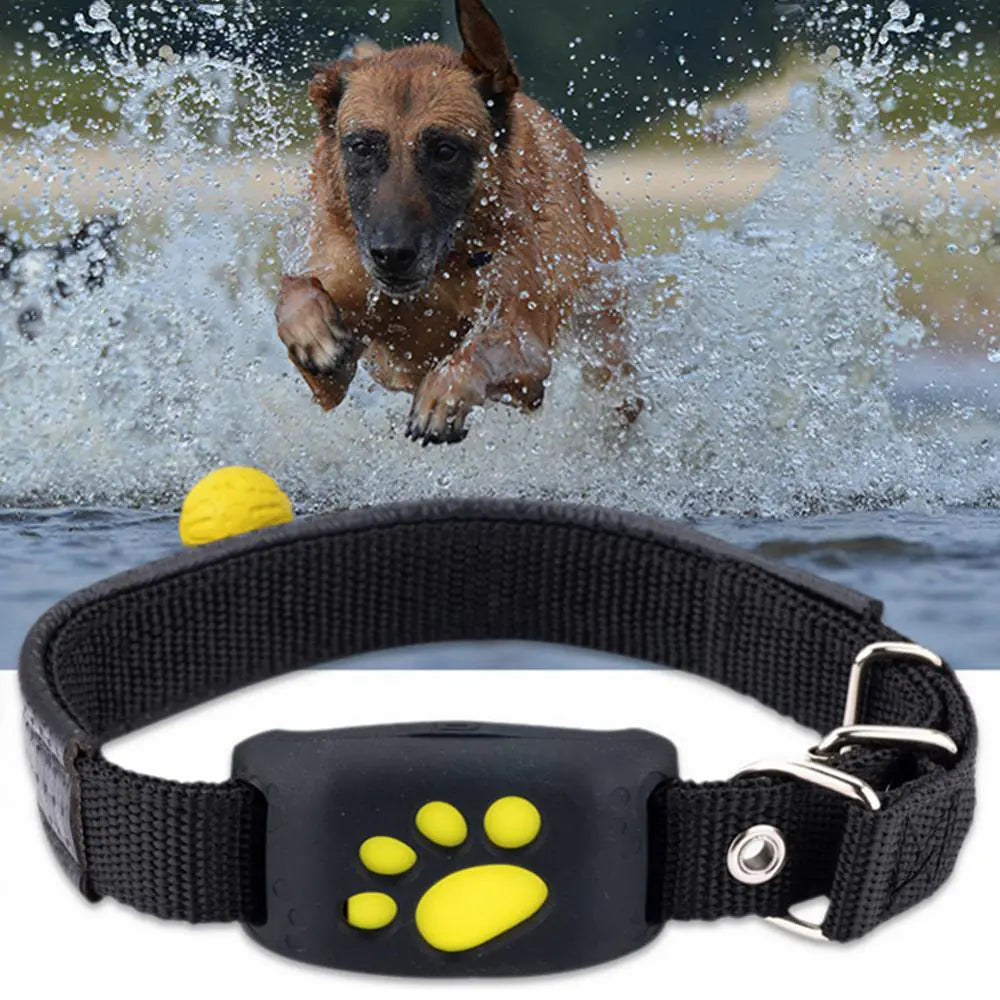 SafeSteps Pet GPS Tracker Collar