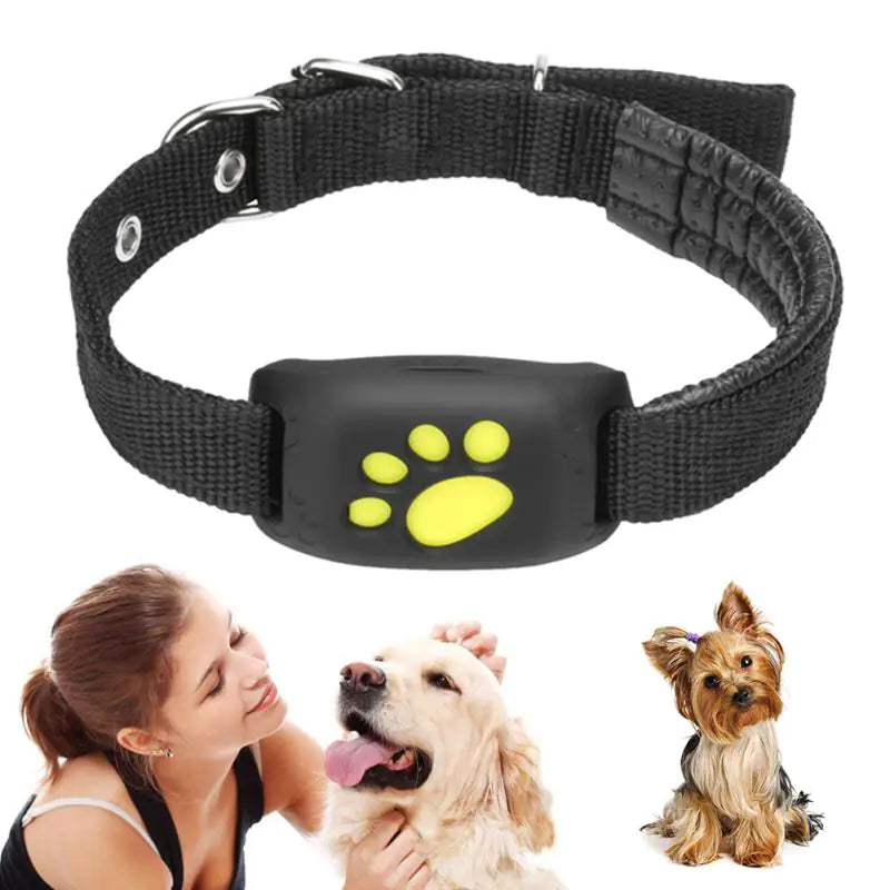 SafeSteps Pet GPS Tracker Collar